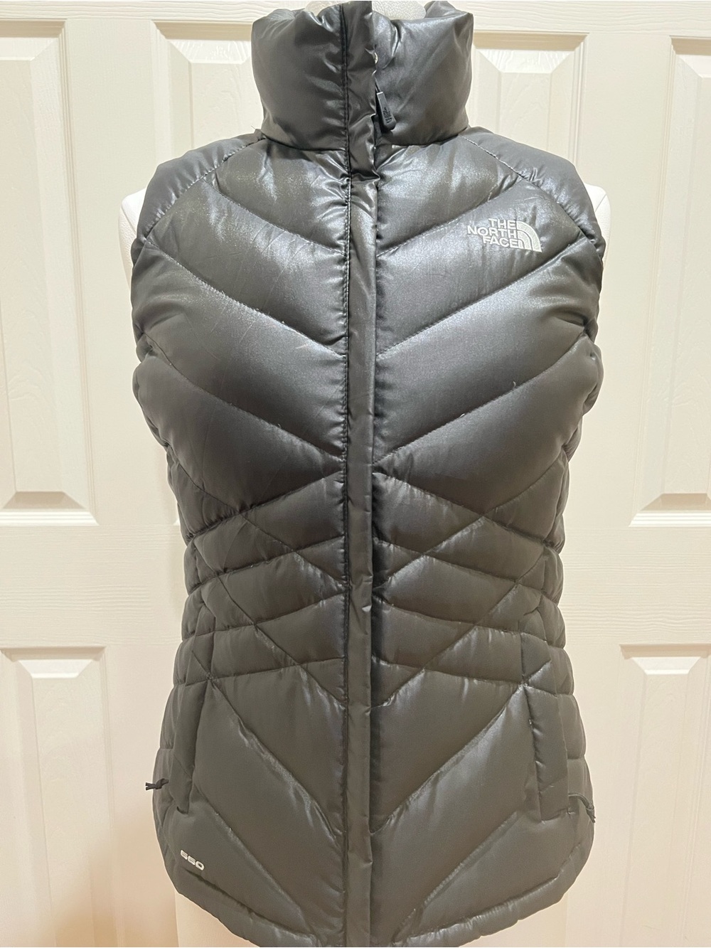 NORTH FACE Women’s Down Filled 550 Vest